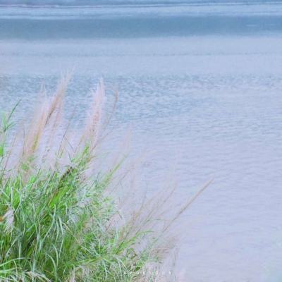 青海湖生物多样性提升